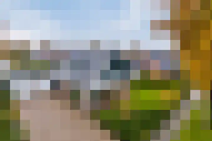C.Schuurmanwei 10 Surhuizum thumbnail 42