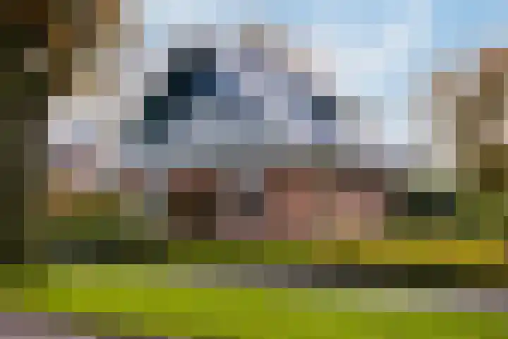 C.Schuurmanwei 10 Surhuizum thumbnail 44