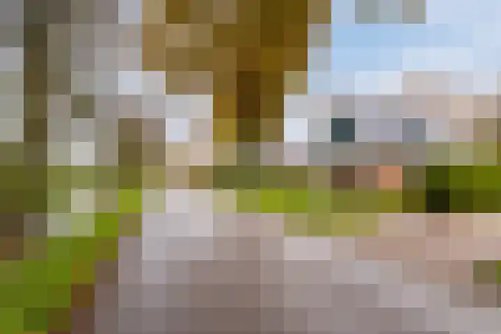 C.Schuurmanwei 10 Surhuizum thumbnail 45