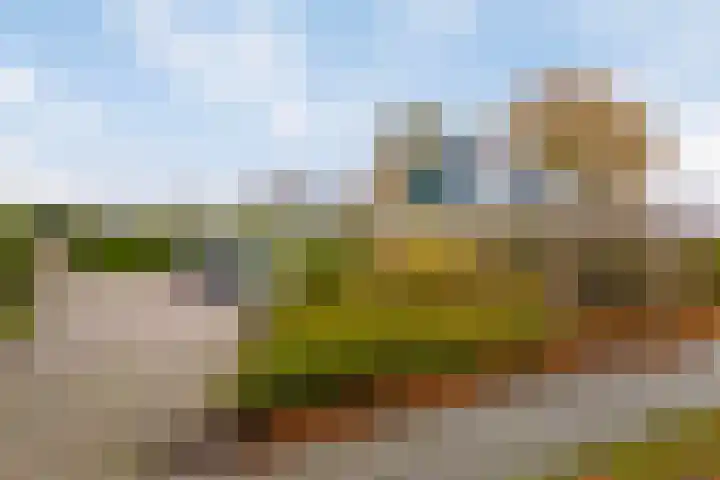 C.Schuurmanwei 10 Surhuizum thumbnail 46