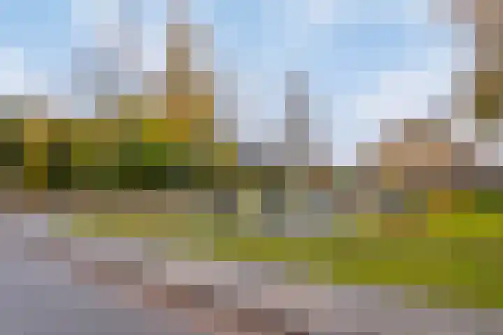 C.Schuurmanwei 10 Surhuizum thumbnail 48