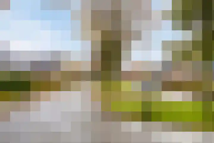 C.Schuurmanwei 10 Surhuizum thumbnail 49
