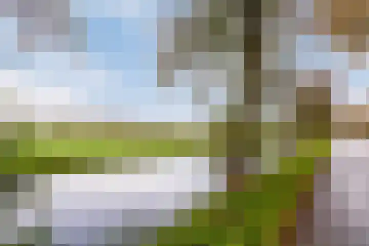 C.Schuurmanwei 10 Surhuizum thumbnail 50