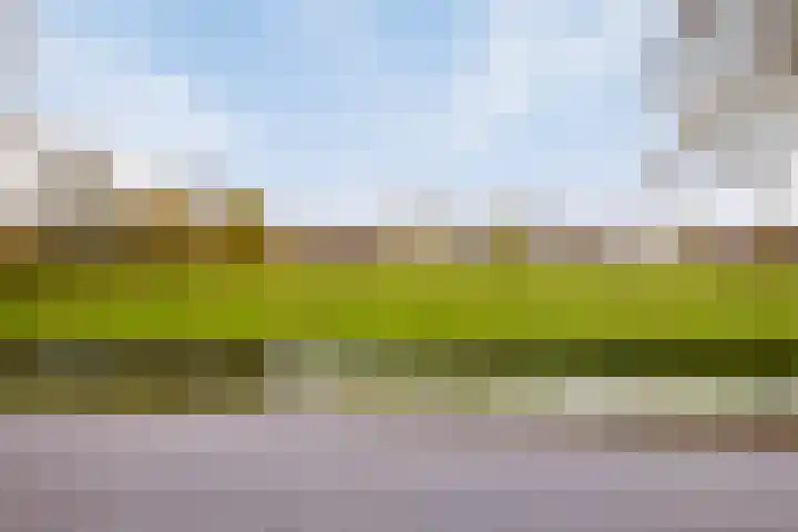 C.Schuurmanwei 10 Surhuizum thumbnail 51