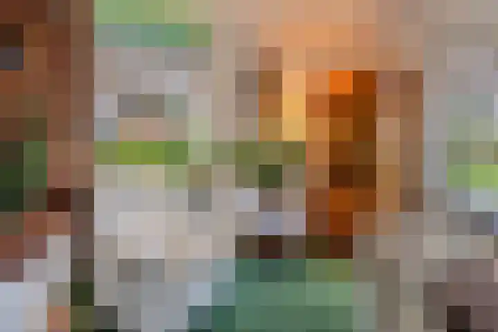 C.Schuurmanwei 10 Surhuizum thumbnail 7