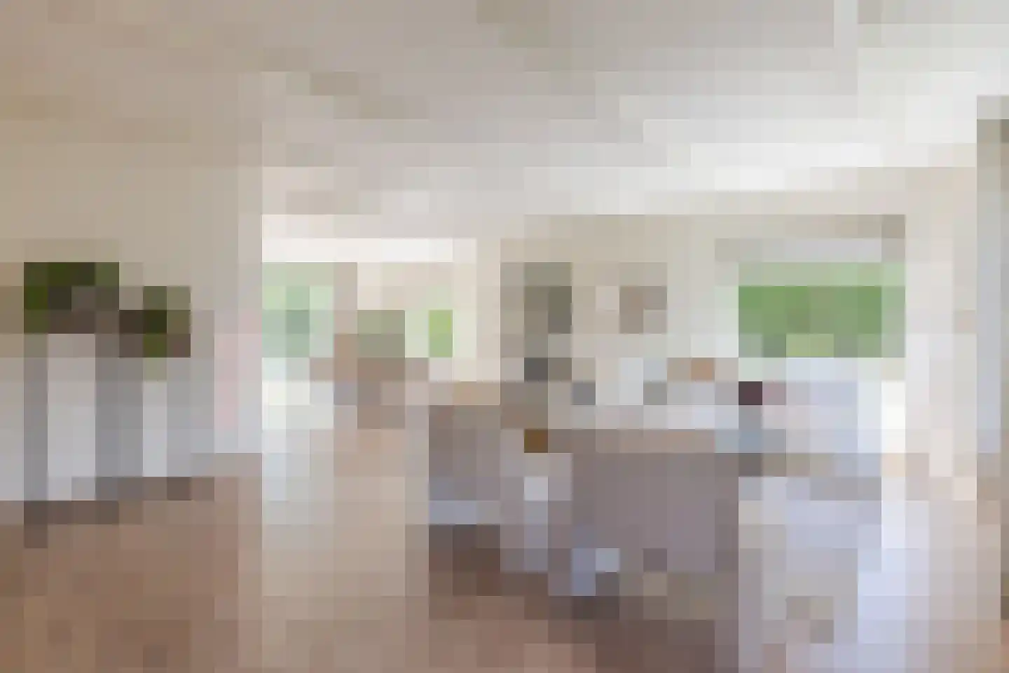 C. Sluijterstraat 31 Zwammerdam thumbnail 11