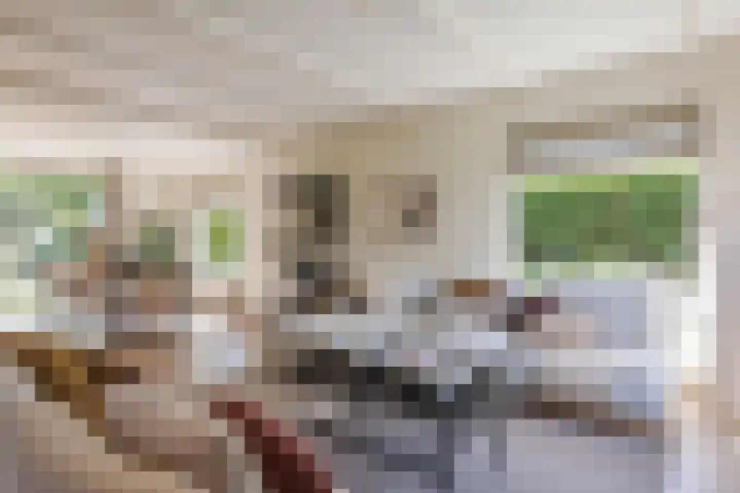 C. Sluijterstraat 31 Zwammerdam thumbnail 12