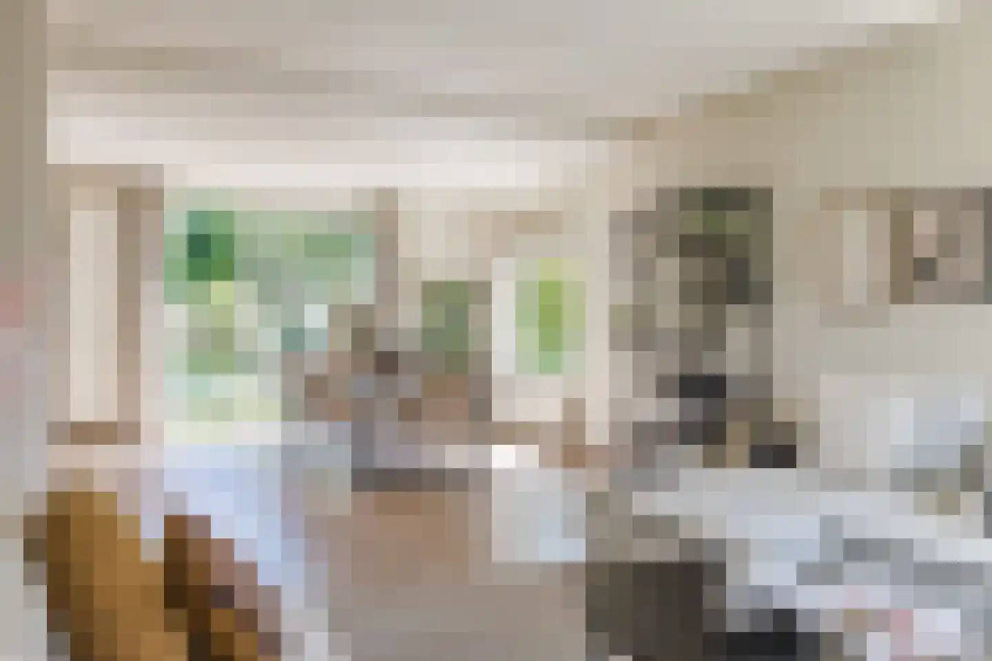 C. Sluijterstraat 31 Zwammerdam thumbnail 13