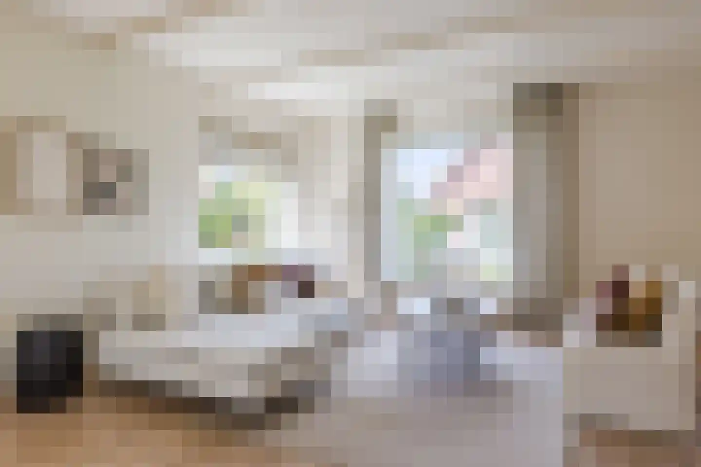 C. Sluijterstraat 31 Zwammerdam thumbnail 15