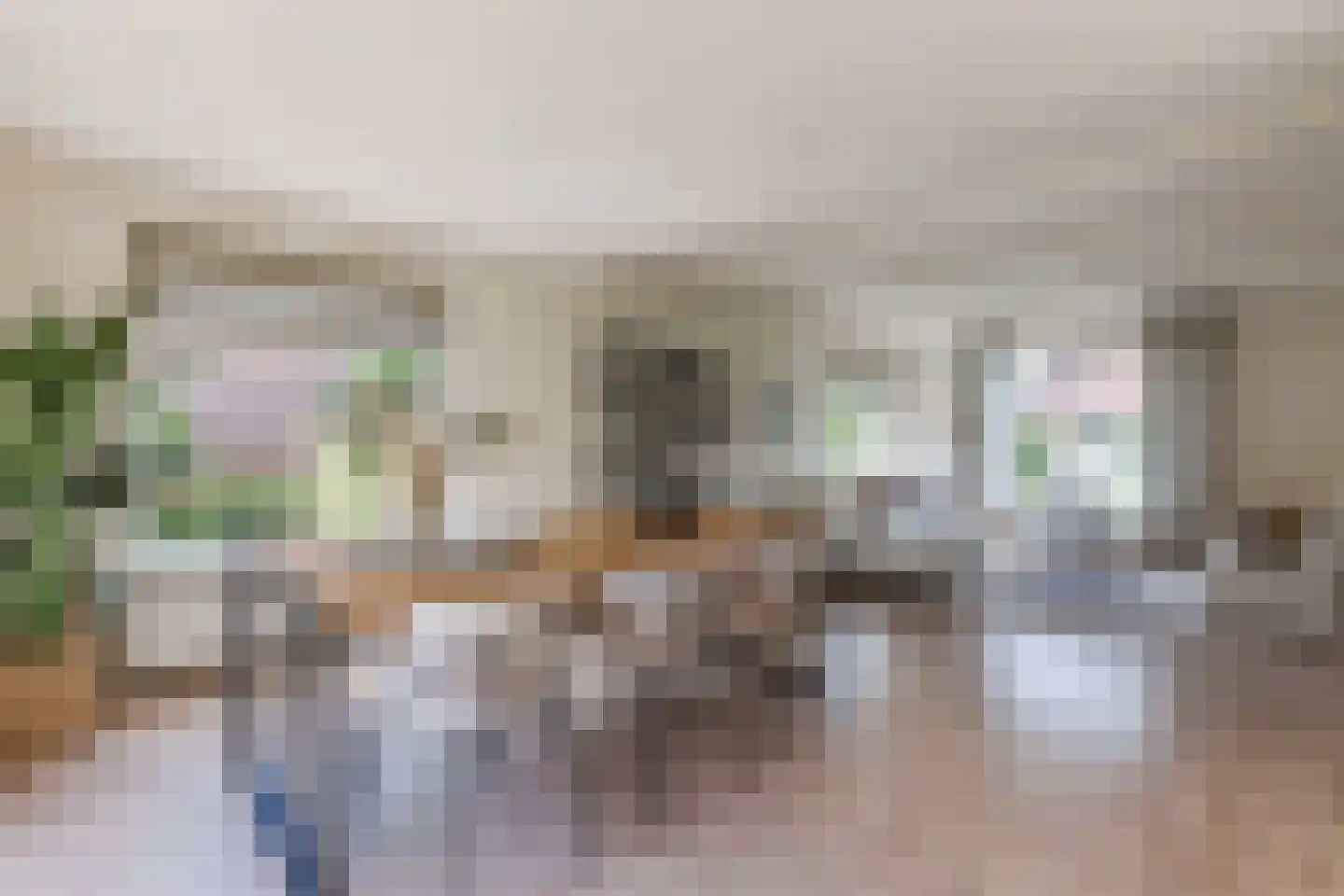 C. Sluijterstraat 31 Zwammerdam thumbnail 19