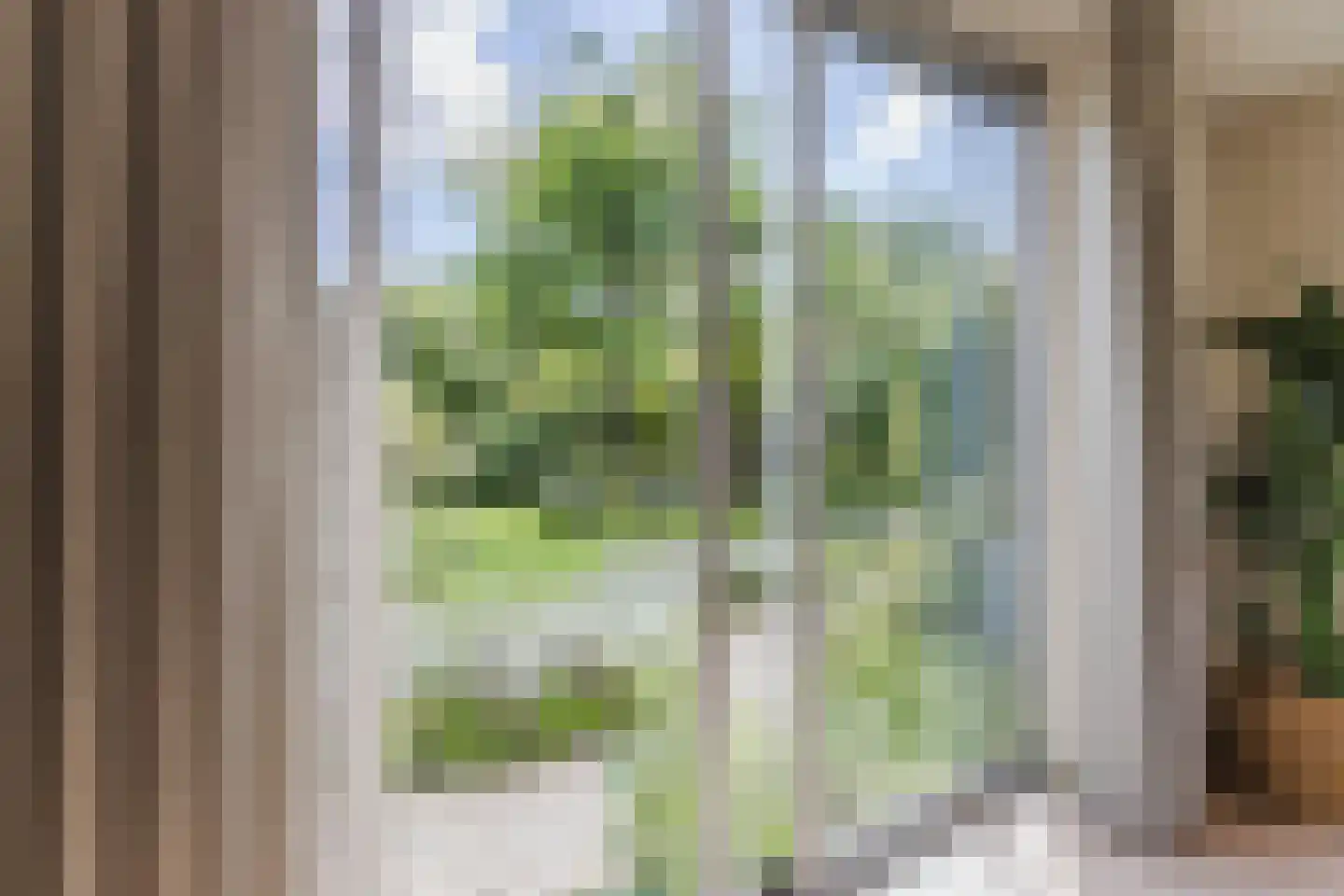 C. Sluijterstraat 31 Zwammerdam thumbnail 20