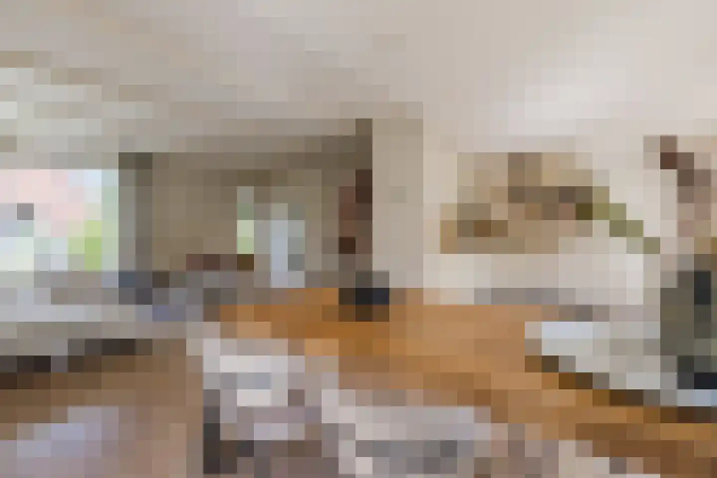 C. Sluijterstraat 31 Zwammerdam thumbnail 22