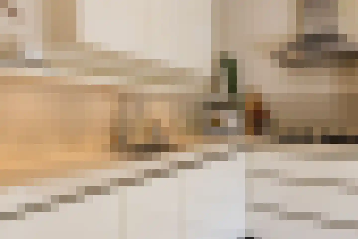 C. Sluijterstraat 31 Zwammerdam thumbnail 23