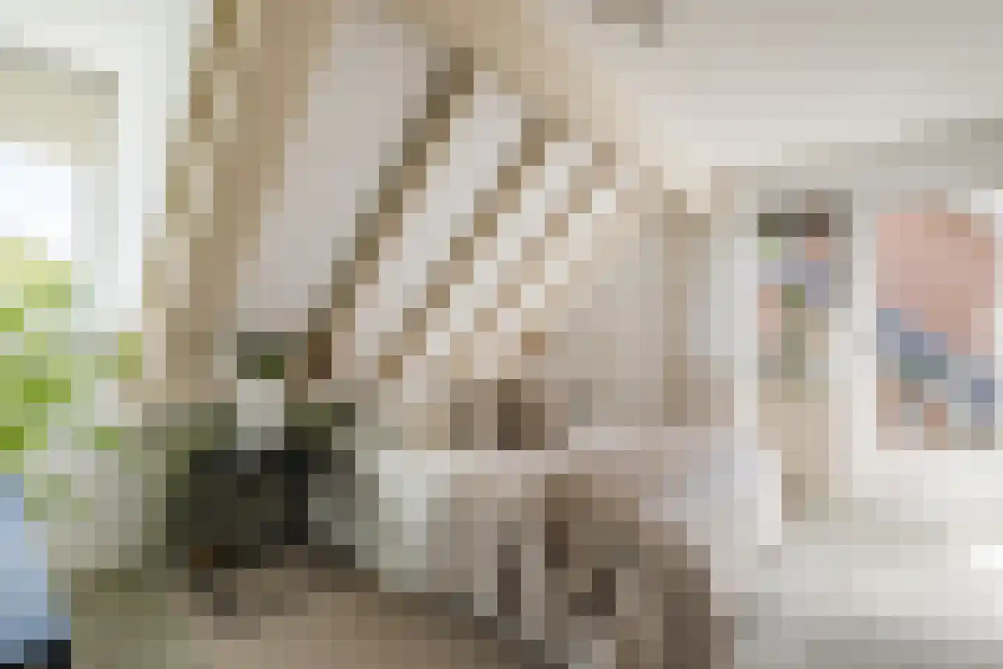 C. Sluijterstraat 31 Zwammerdam thumbnail 30