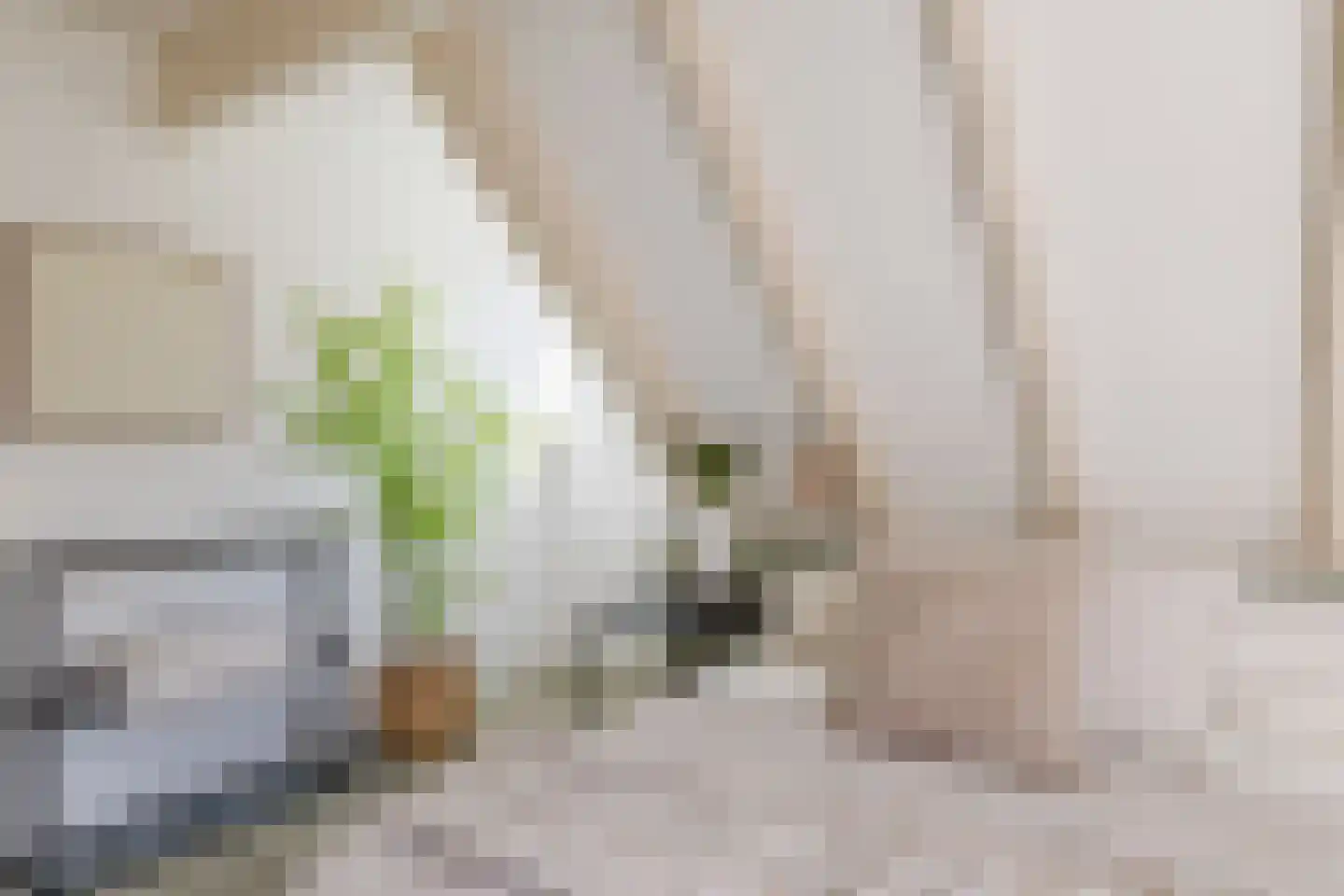 C. Sluijterstraat 31 Zwammerdam thumbnail 31