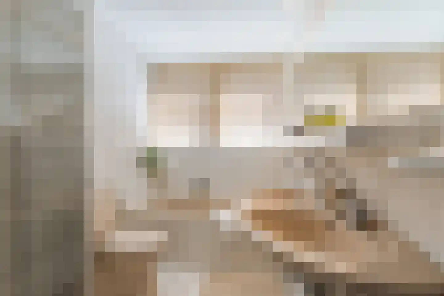 C. Sluijterstraat 31 Zwammerdam thumbnail 36