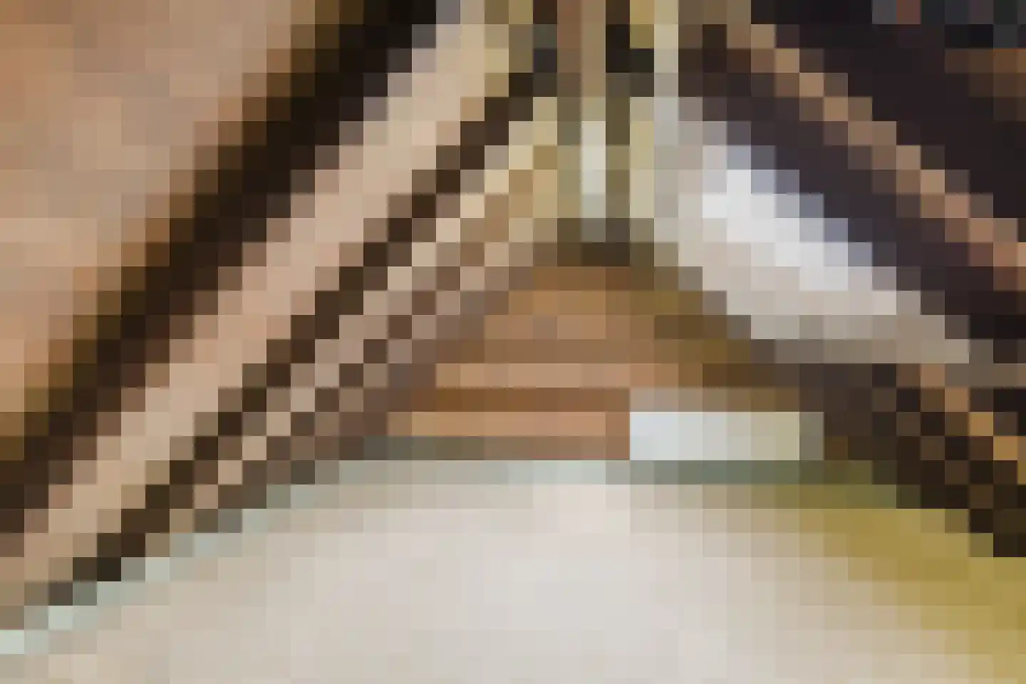 C. Sluijterstraat 31 Zwammerdam thumbnail 38