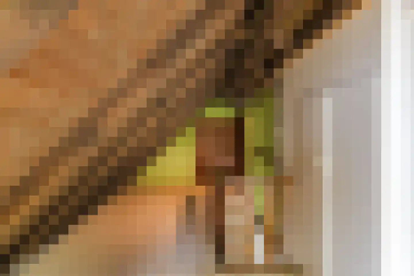C. Sluijterstraat 31 Zwammerdam thumbnail 39