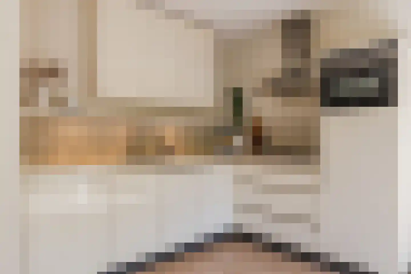 C. Sluijterstraat 31 Zwammerdam thumbnail 4
