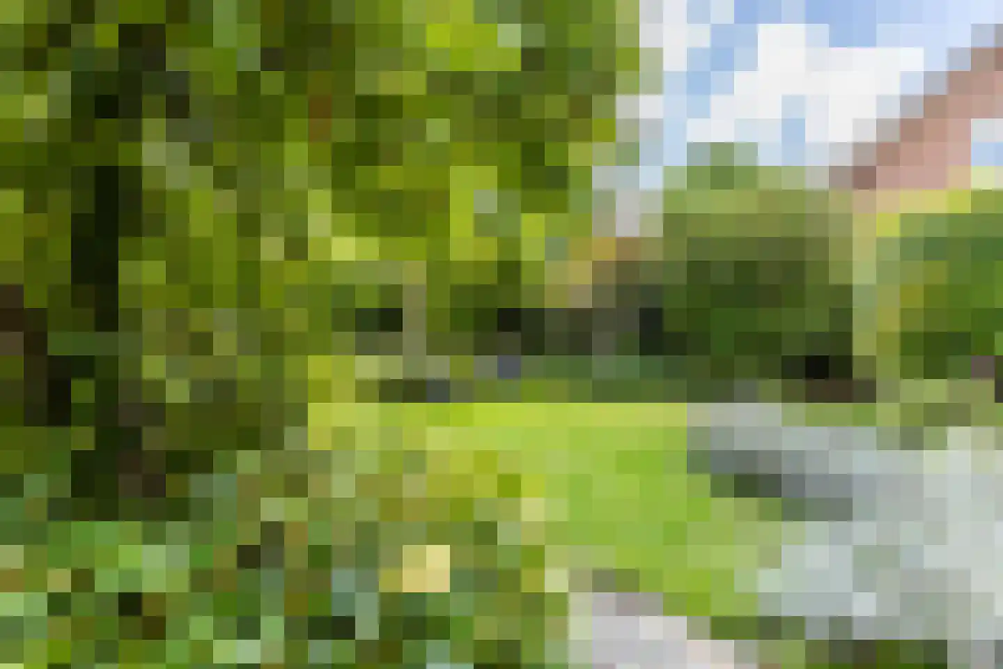 C. Sluijterstraat 31 Zwammerdam thumbnail 5