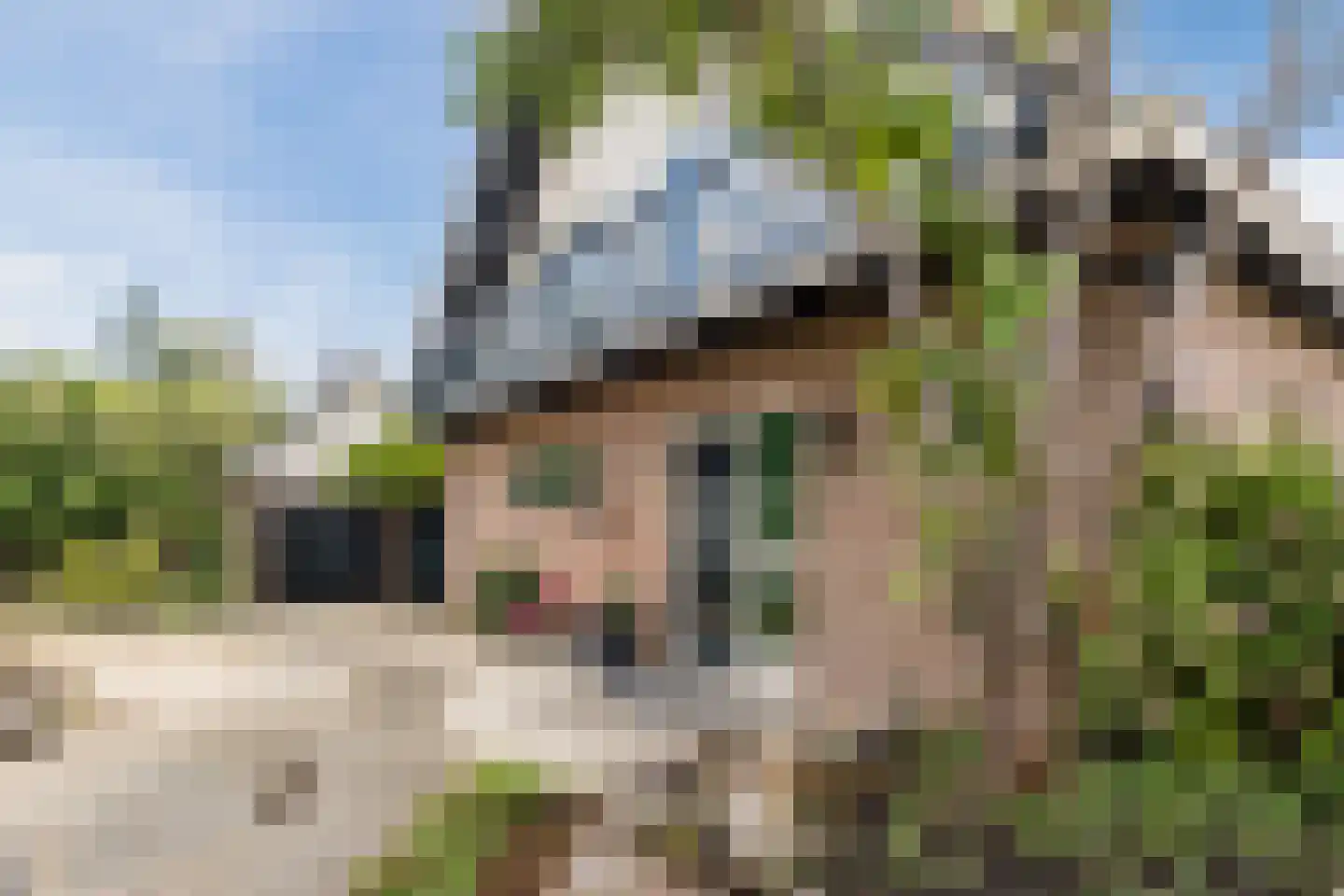 C. Sluijterstraat 31 Zwammerdam thumbnail 55