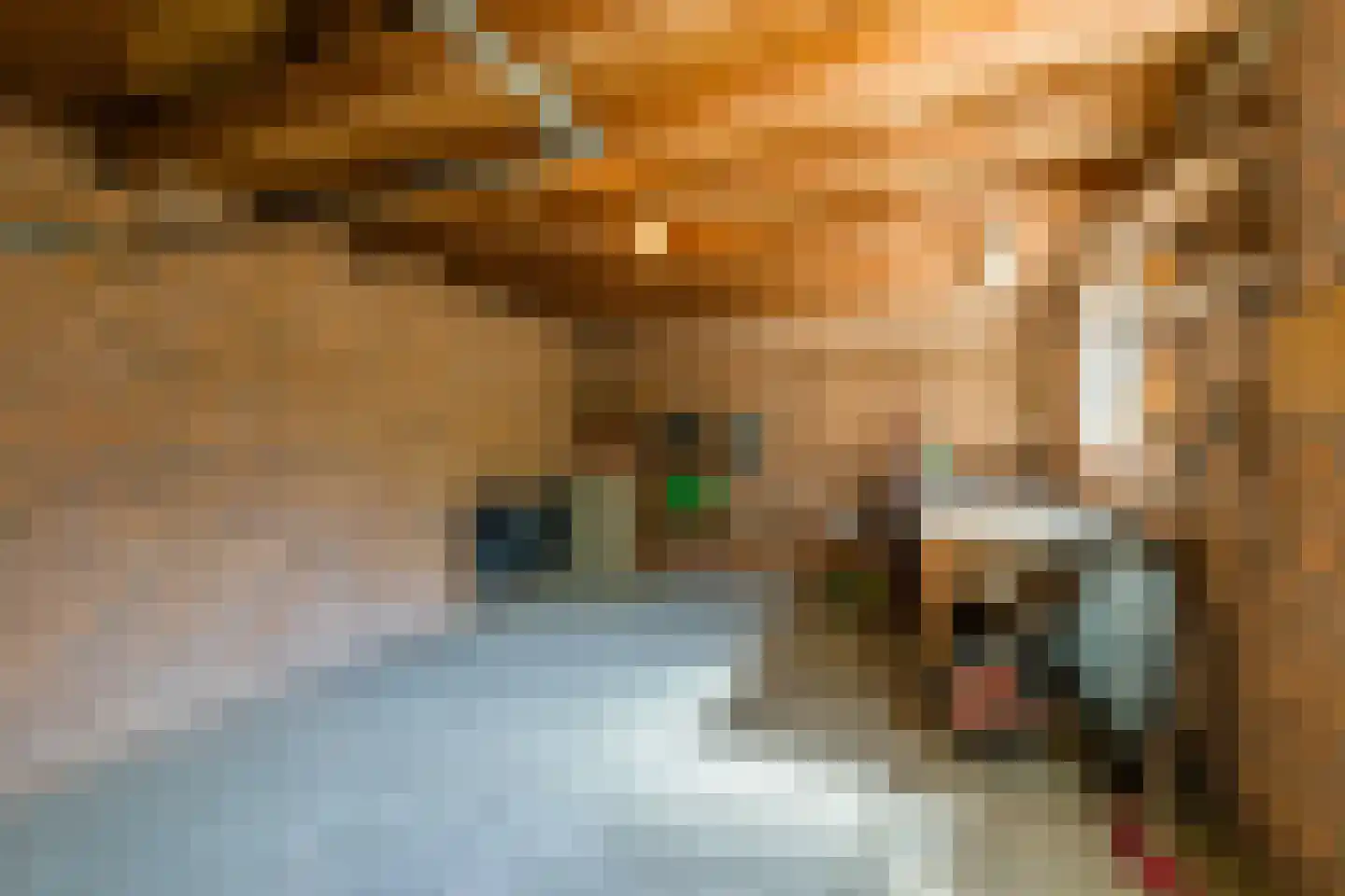 C. Sluijterstraat 31 Zwammerdam thumbnail 56