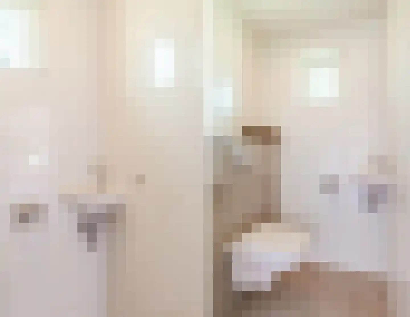 C. Sluijterstraat 31 Zwammerdam thumbnail 9