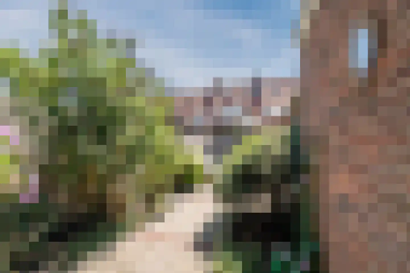 C. Smeenkstraat 5 Utrecht thumbnail 12