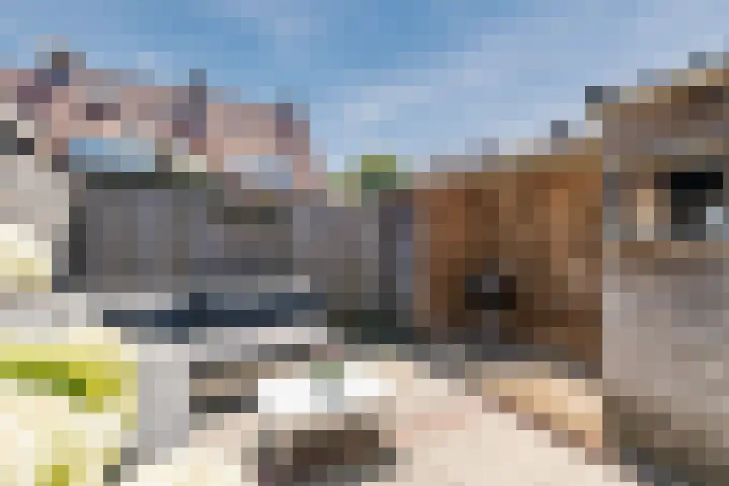 C. Smeenkstraat 5 Utrecht thumbnail 14
