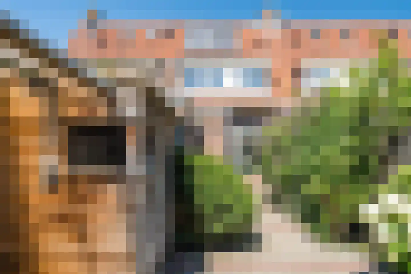 C. Smeenkstraat 5 Utrecht thumbnail 15