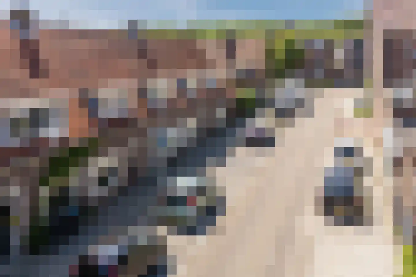 C. Smeenkstraat 5 Utrecht thumbnail 49