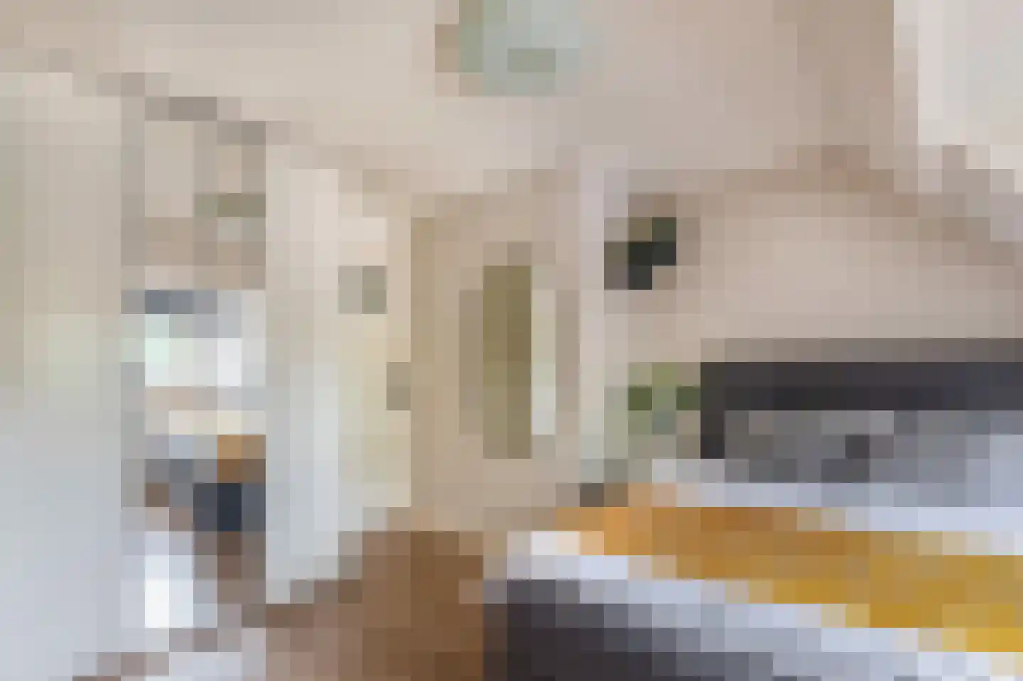 C. Smeenkstraat 75 Utrecht thumbnail 29