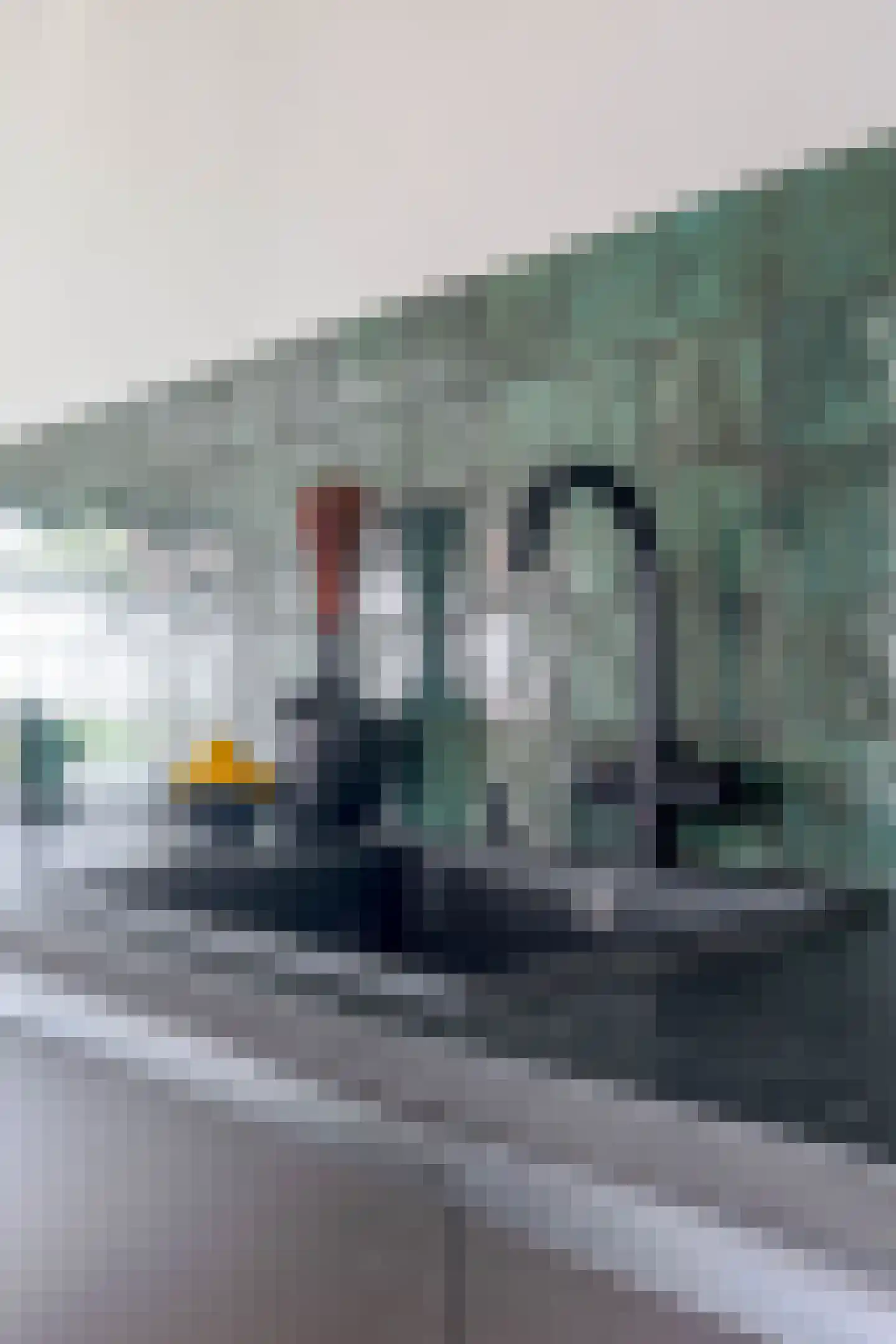 C. Smeenkstraat 75 Utrecht thumbnail 41