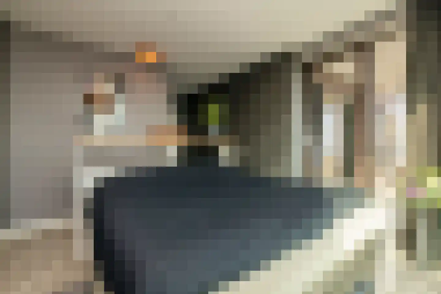 C.T. Storklaan 481 Rijswijk thumbnail 32