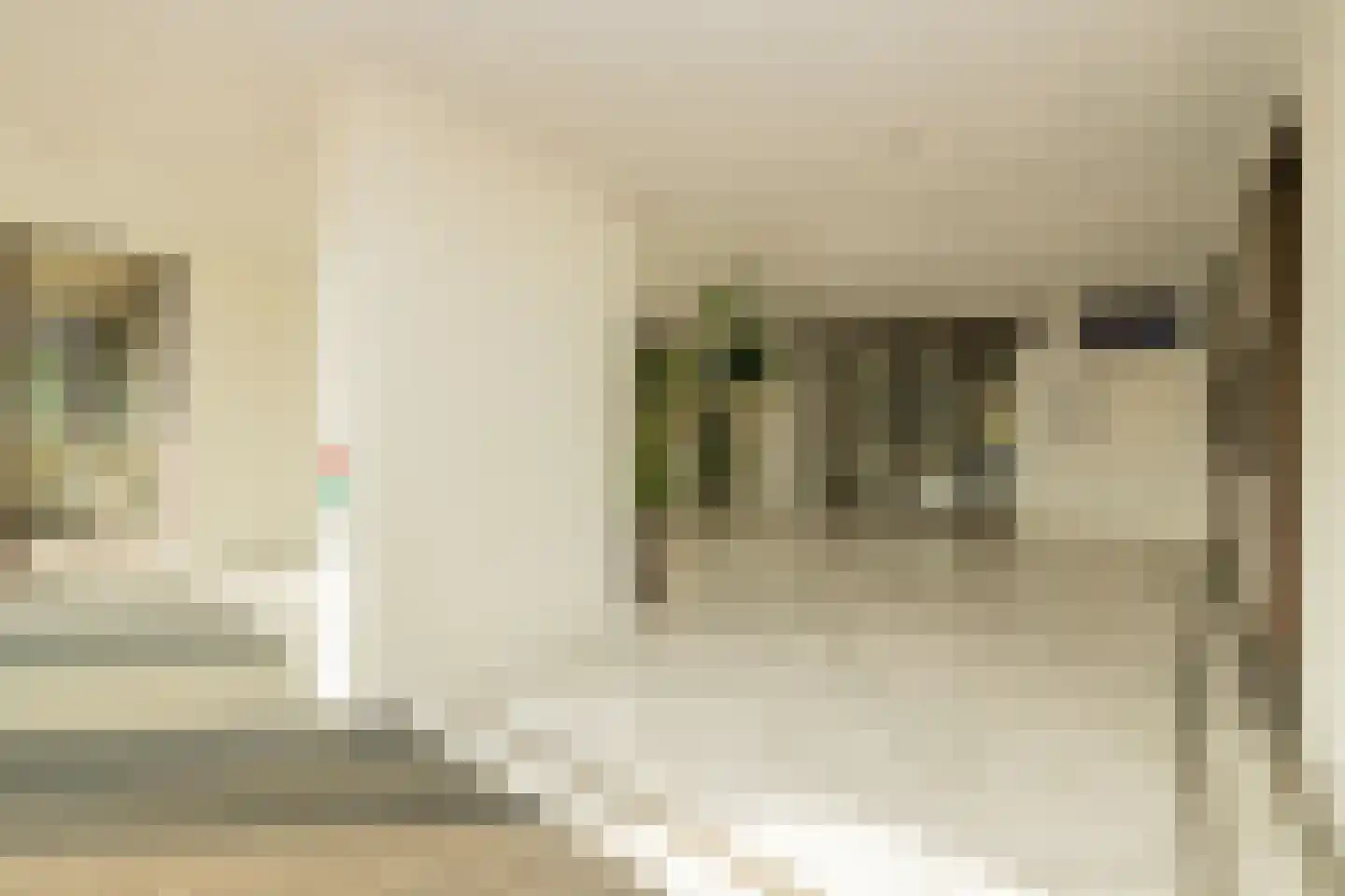 C.T. Storklaan 481 Rijswijk thumbnail 6
