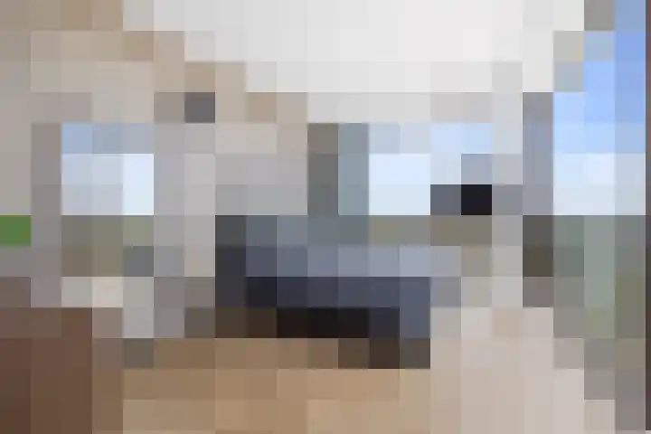 C.T. Storklaan 627 Rijswijk thumbnail 13
