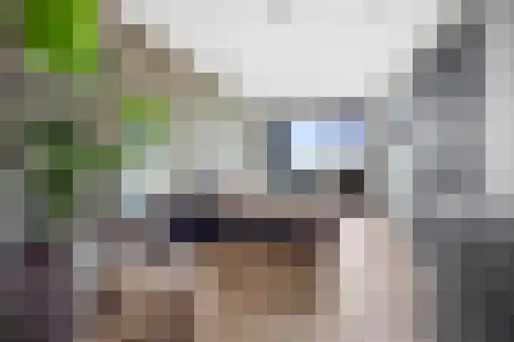 C.T. Storklaan 627 Rijswijk thumbnail 21