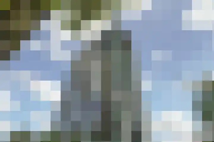 C.T. Storklaan 627 Rijswijk thumbnail 34