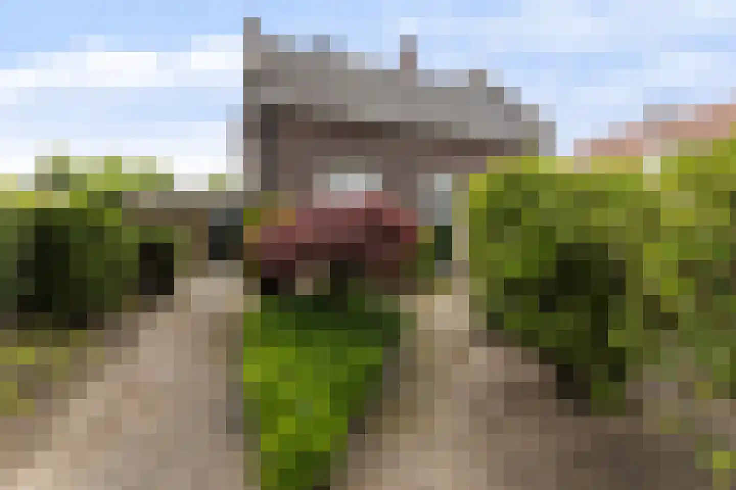 C.T. Storkstraat 11 Hengelo thumbnail 37