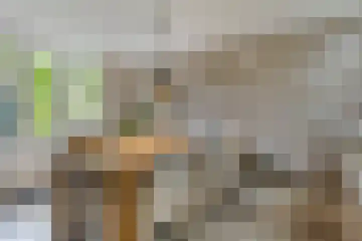 C.T. Storkstraat 29 Hengelo thumbnail 20