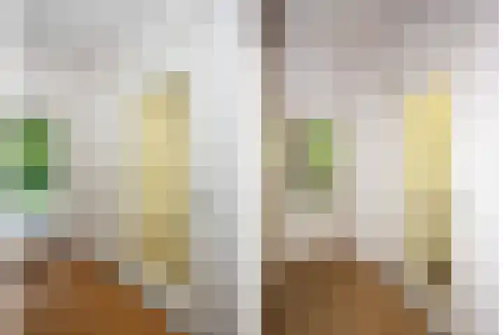 C.T. Storkstraat 42 Hengelo thumbnail 34