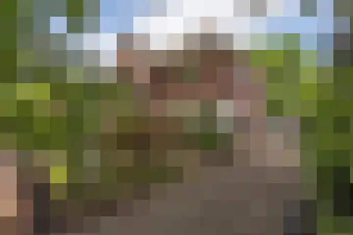 C.T. Storkstraat 42 Hengelo thumbnail 6