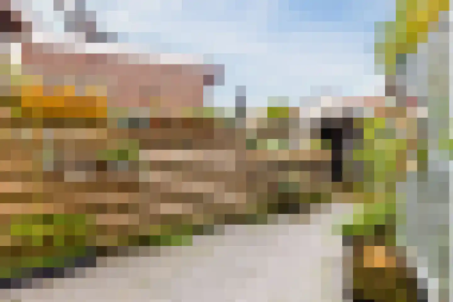 C.Th. Kamphuijsstraat 35 Zaandam thumbnail 11
