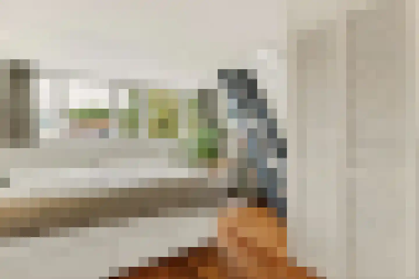 C.Th. Kamphuijsstraat 35 Zaandam thumbnail 17