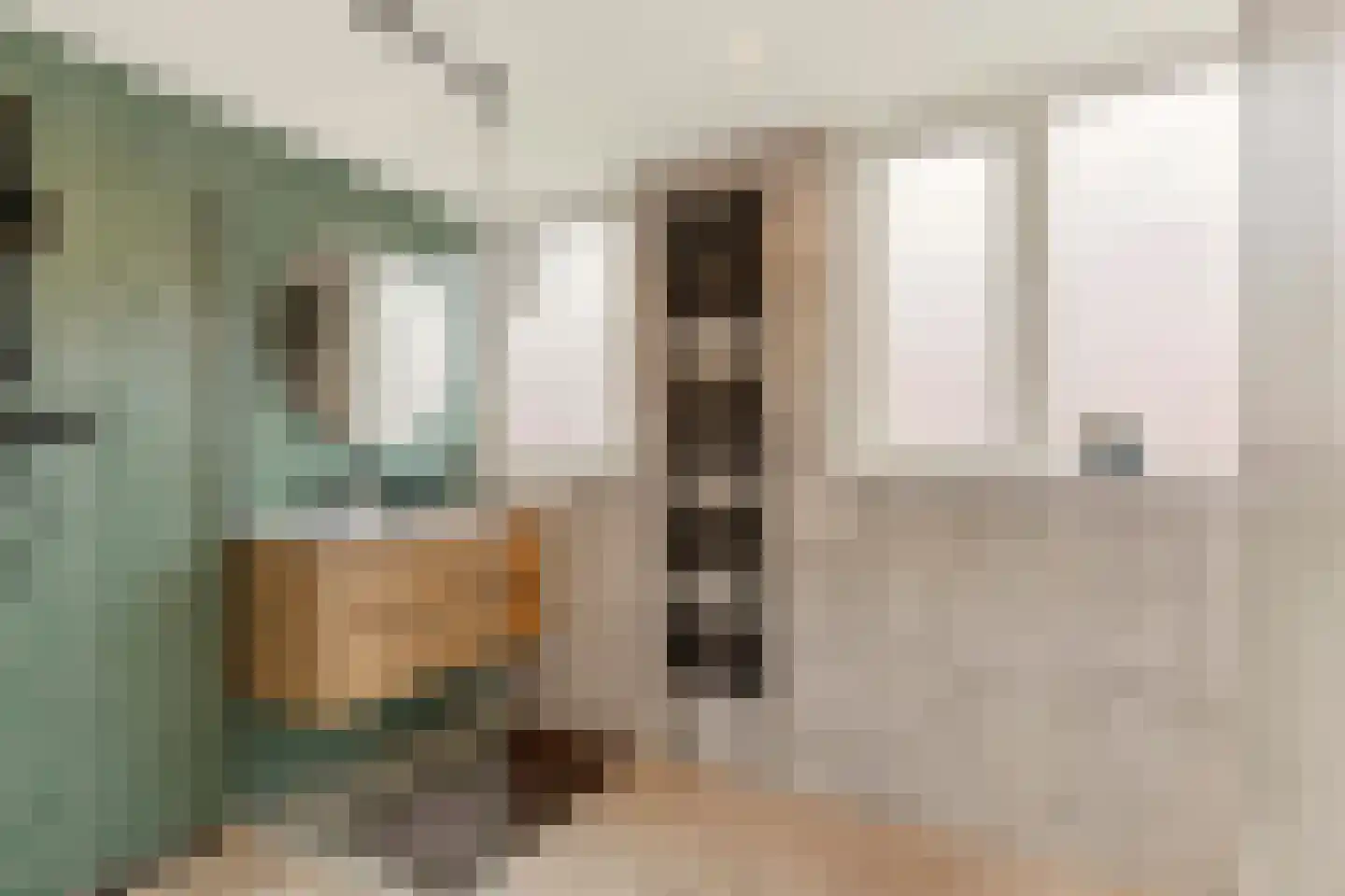 C.Th. Kamphuijsstraat 35 Zaandam thumbnail 19
