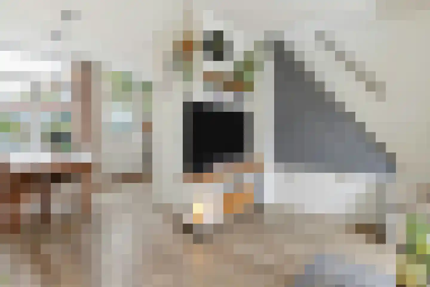 C.Th. Kamphuijsstraat 35 Zaandam thumbnail 6