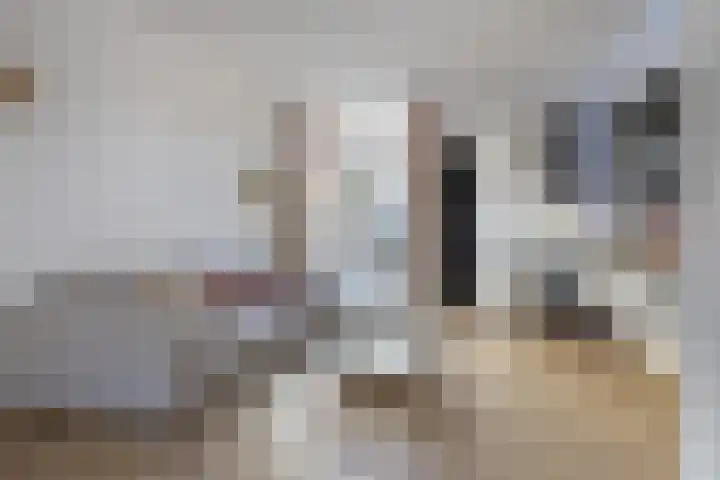 C.Th. Kamphuijsstraat 38 Zaandam thumbnail 7