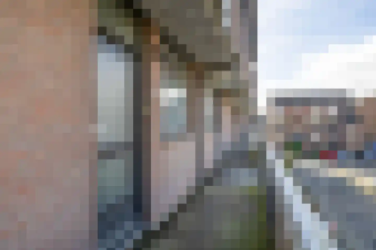C. van Boshuizenstraat 58 Spijkenisse thumbnail 10