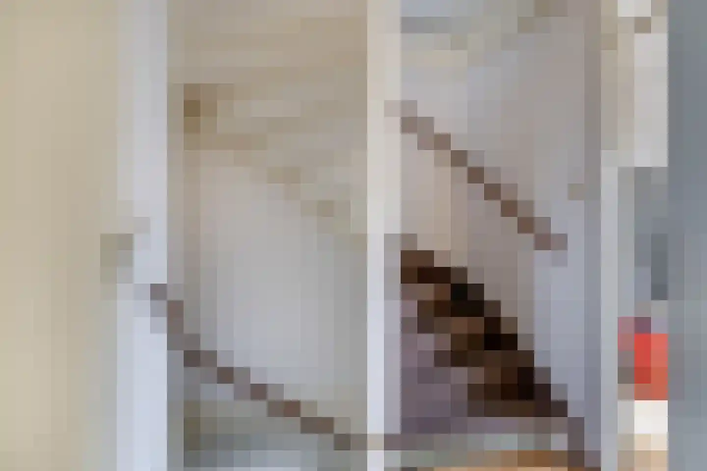 C. van Boshuizenstraat 58 Spijkenisse thumbnail 21