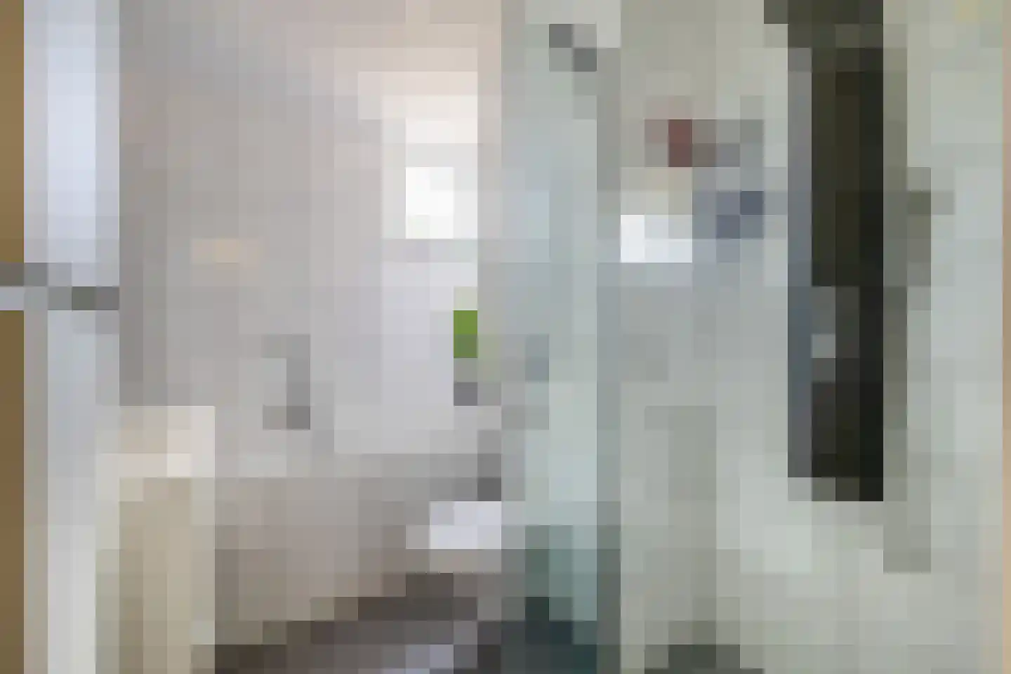 C. van Boshuizenstraat 58 Spijkenisse thumbnail 24